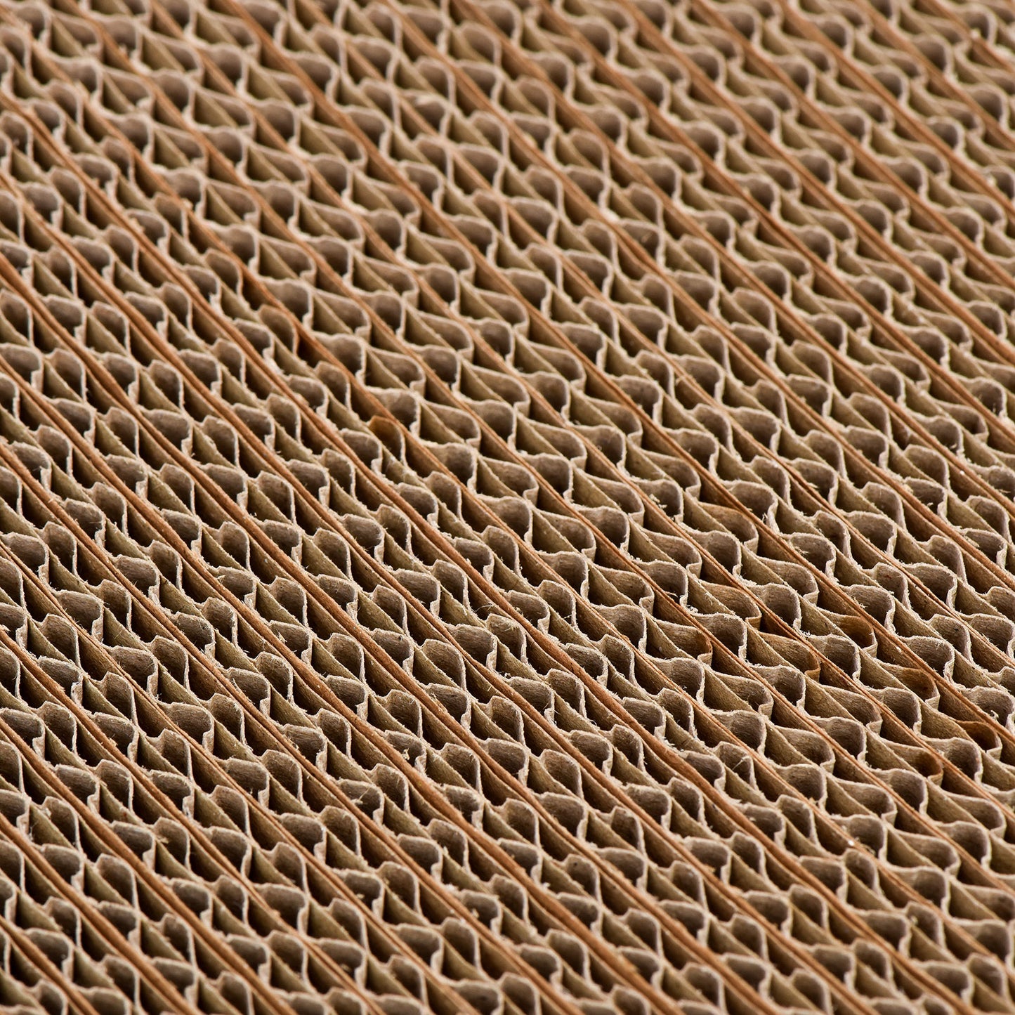 Minx Infinity Deluxe Scratcher Lounging Bed
