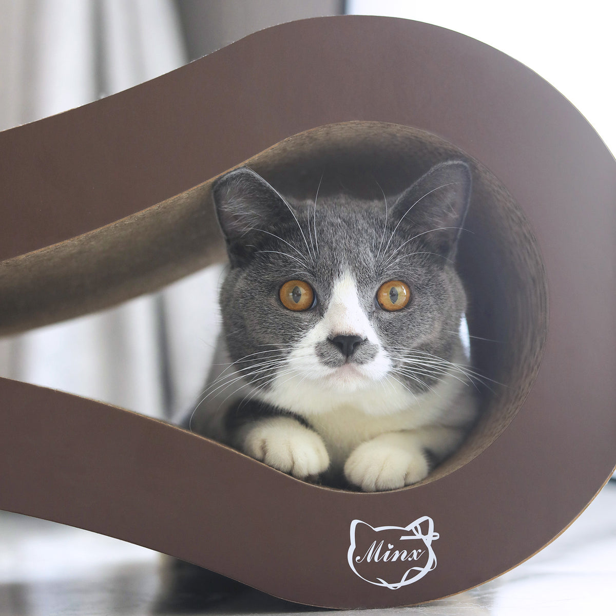 Ninx Cat Minx Cat