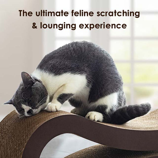 Minx Infinity Deluxe Scratcher Lounging Bed