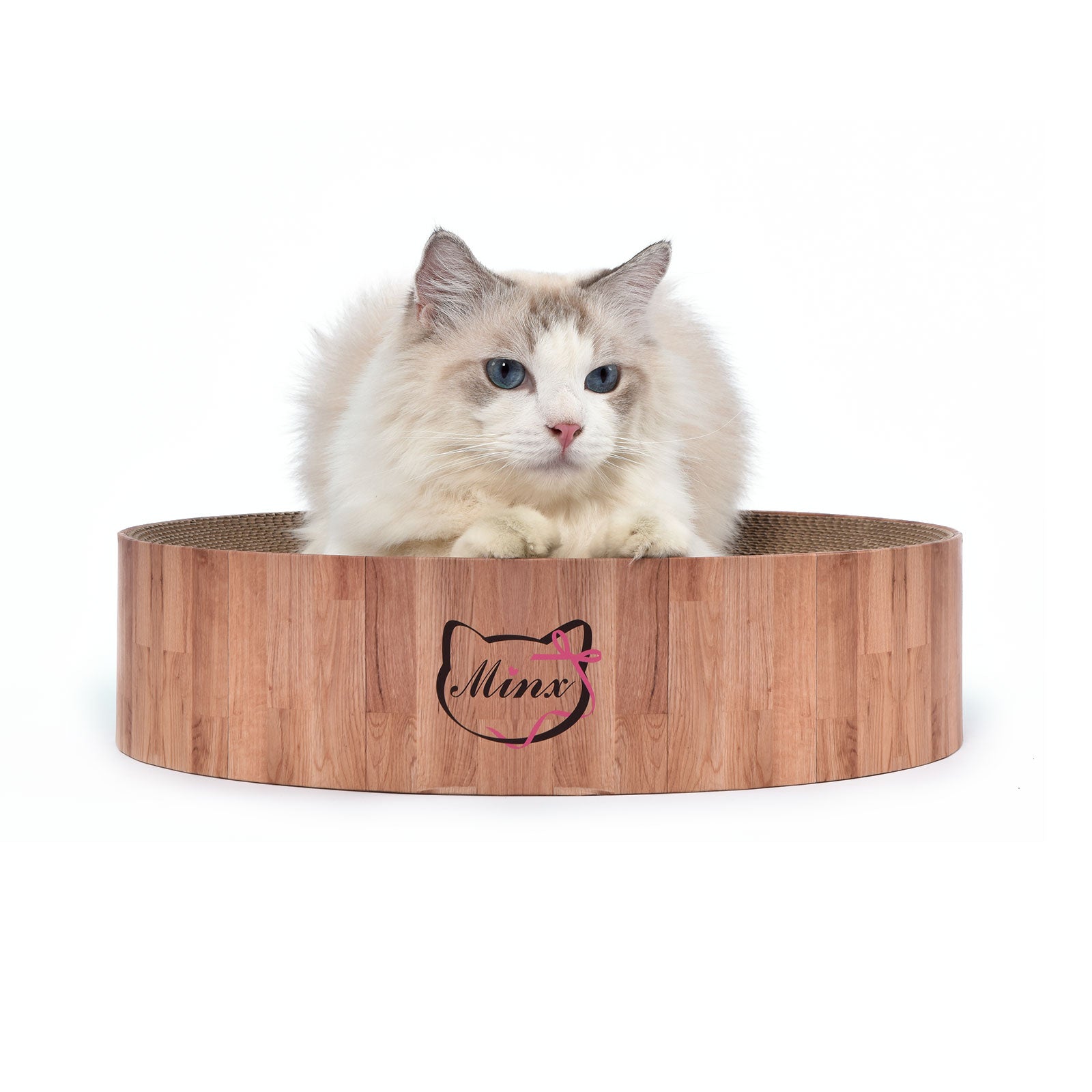 Ninx Cat Minx Cat